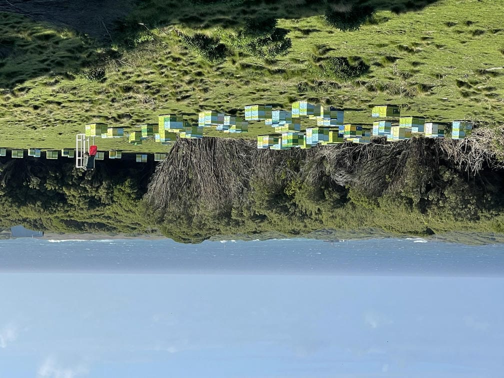 King Island Pure Manuka Honey Bee Hives