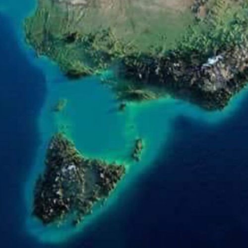 Location, Location, Location: Five Reasons Why King Island Pure Manuka Honey Is So Unique